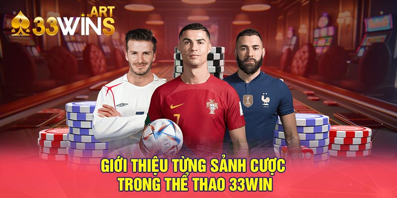 Giới thiệu từng sảnh cược trong thể thao 33win